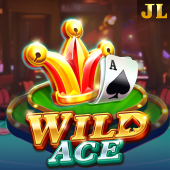Wild Ace playtime login slot